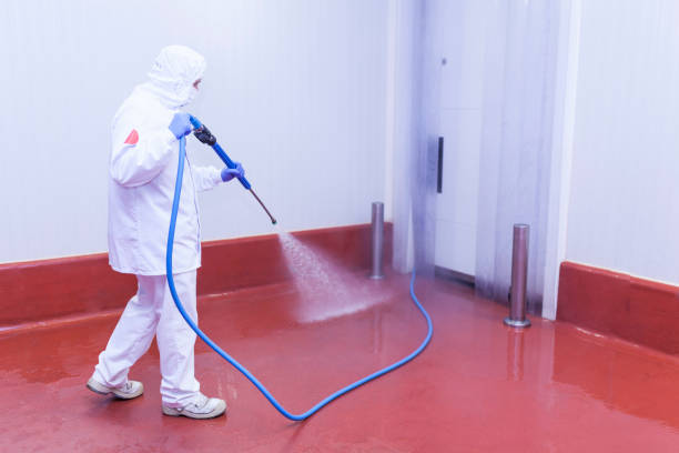 Best Deck and Patio Pressure Washing in Denver City, TX